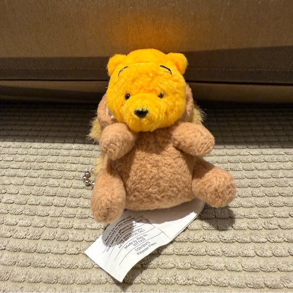 Winnie the Pooh disguised as a Lion! - Picture 5 of 5